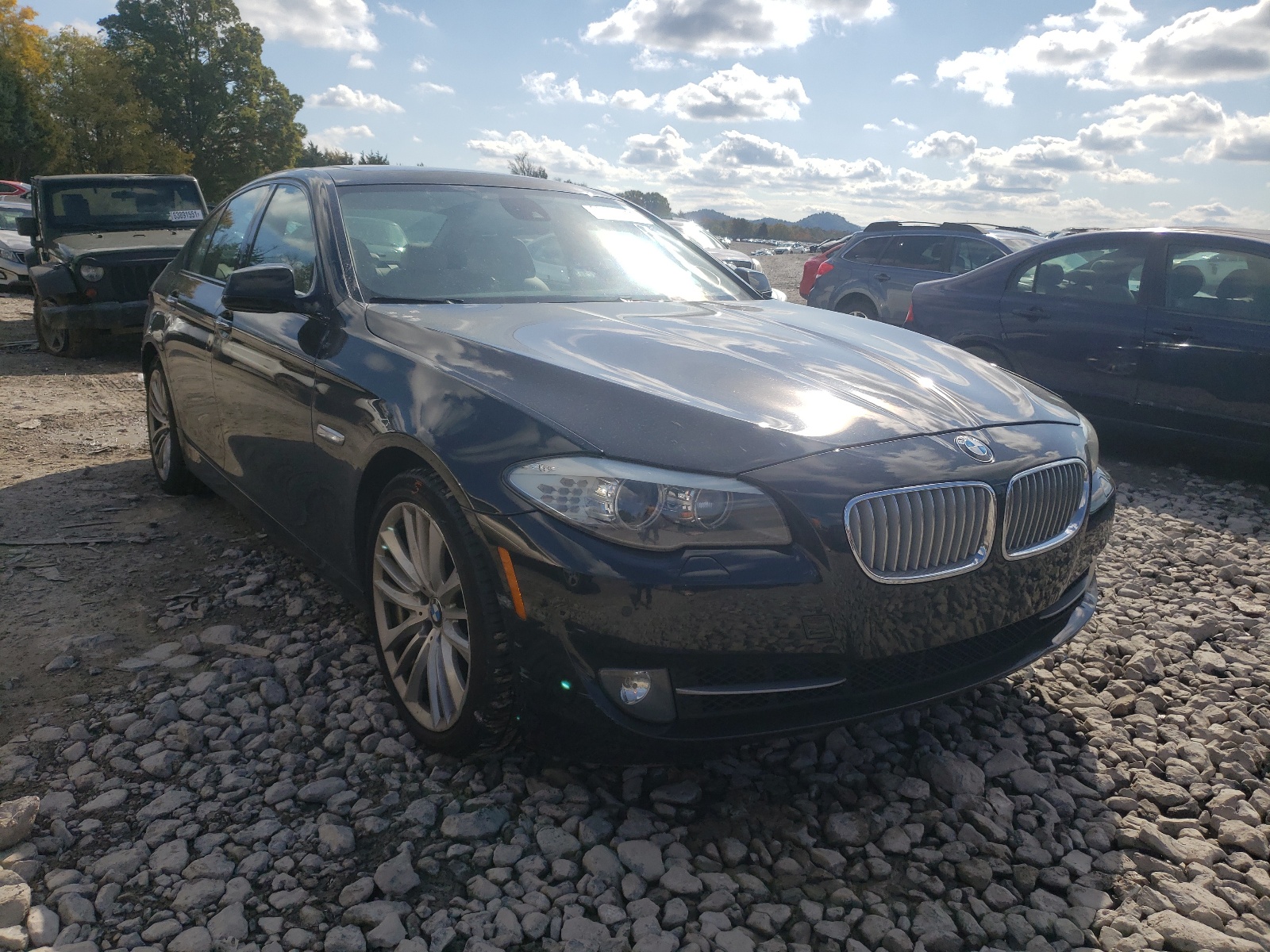 2011 BMW 550 Xi VIN: WBAFU9C50BC785046 Lot: 63568111