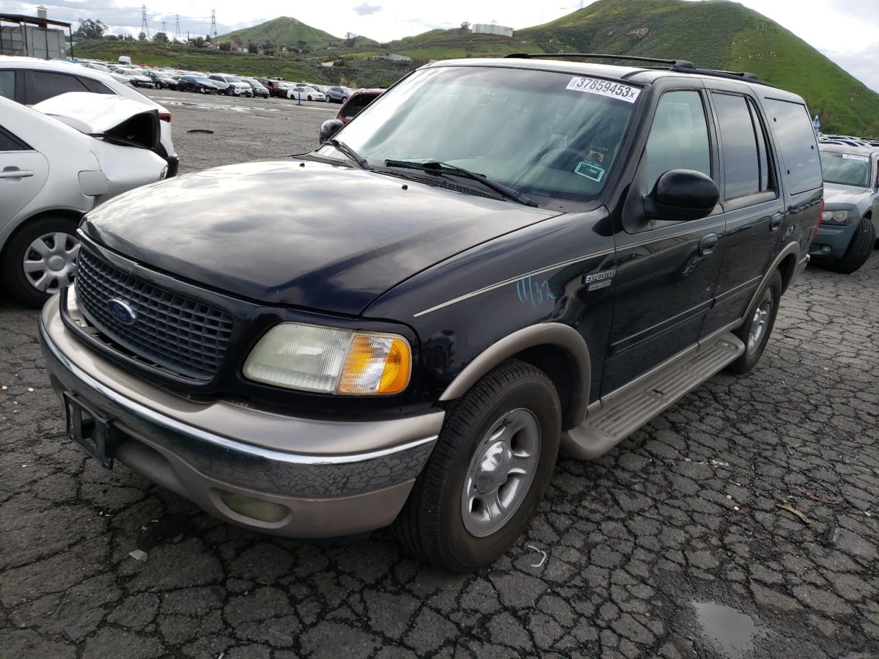 2002 Ford Expedition Eddie Bauer VIN: 1FMRU17L02LA84559 Lot: 37859453