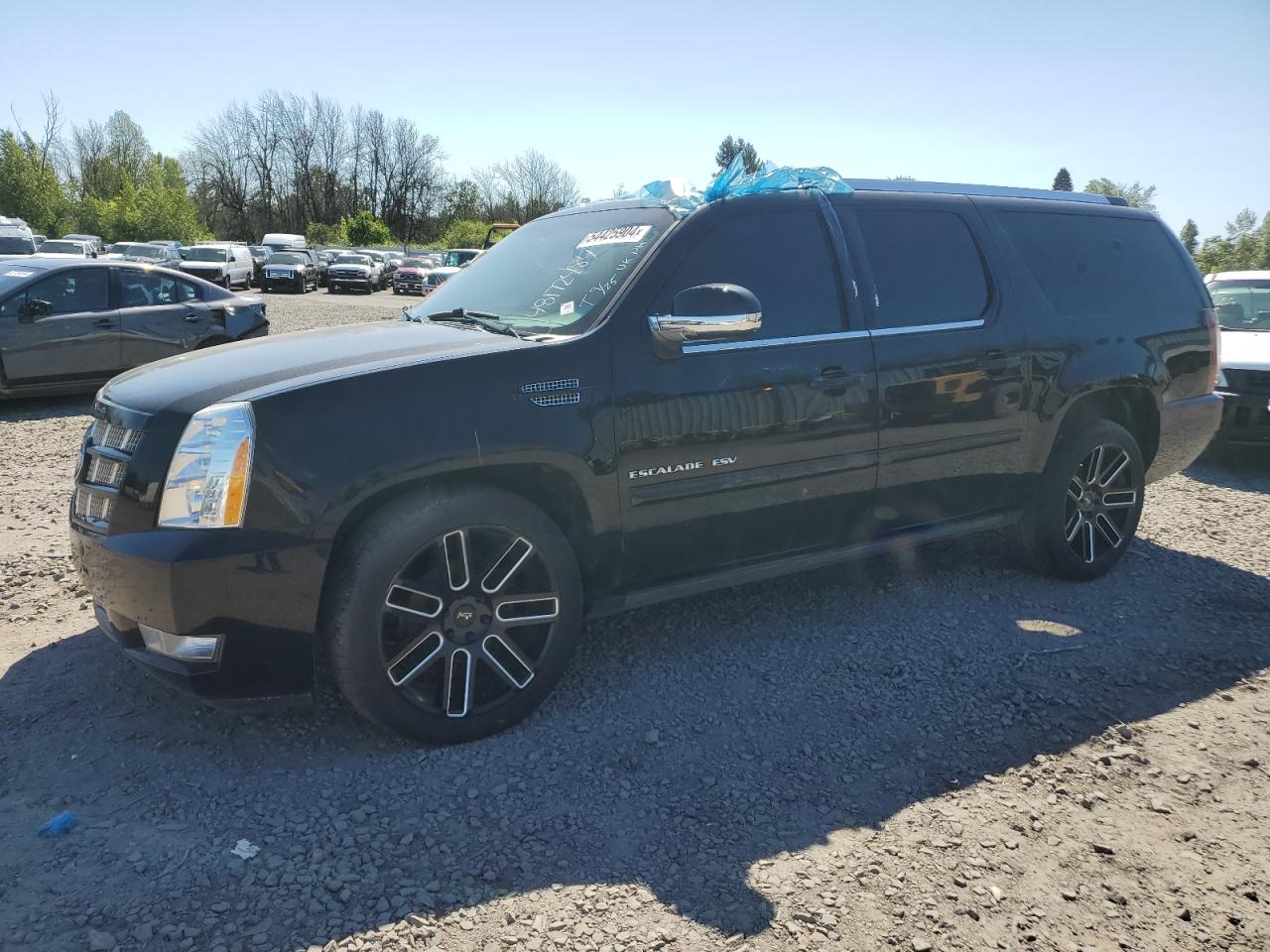 2012 Cadillac Escalade Esv Premium VIN: 1GYS4JEF6CR269002 Lot: 54425904