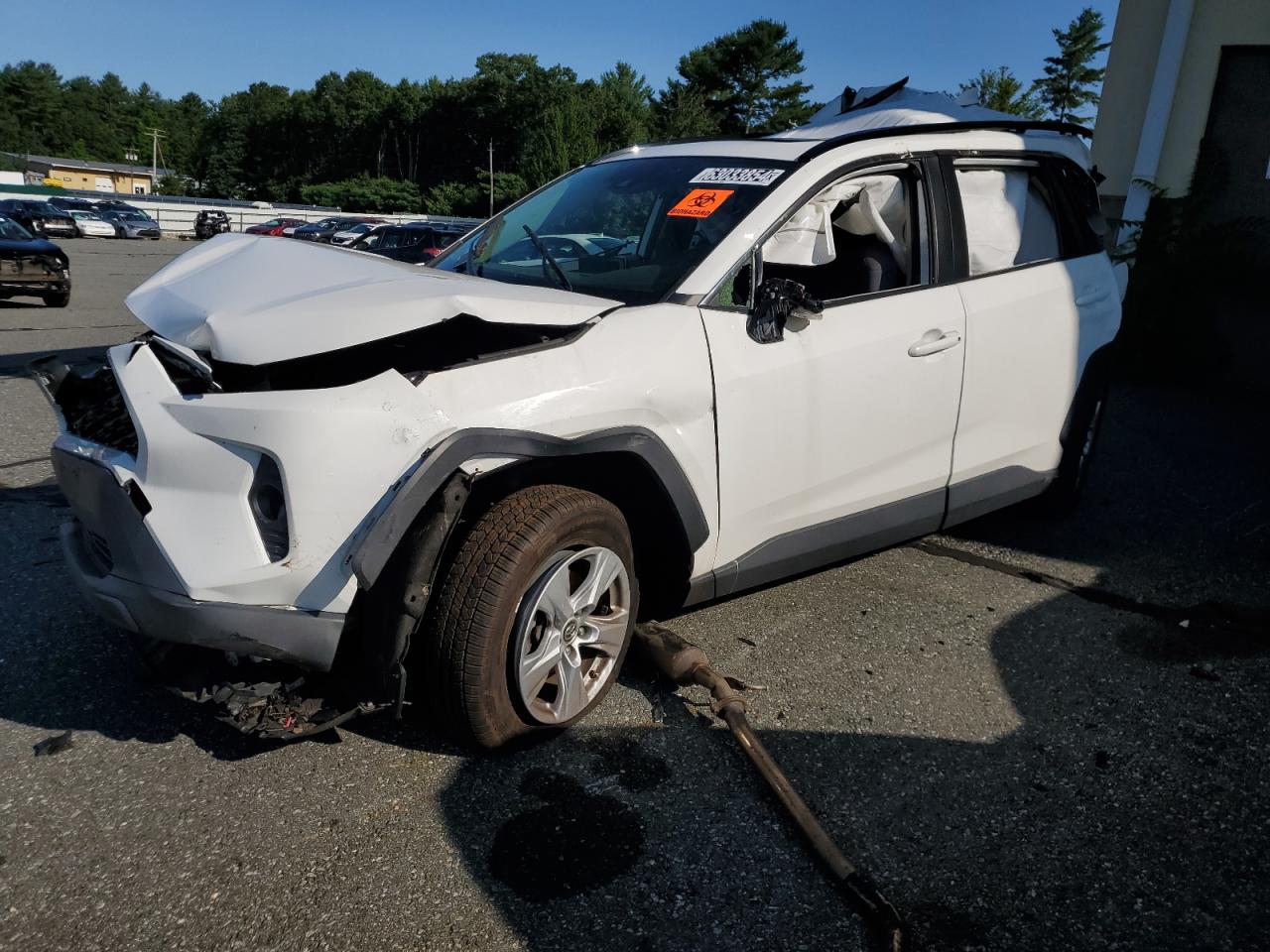 2019 Toyota Rav4 Xle VIN: JTMP1RFV1KD021650 Lot: 63033854