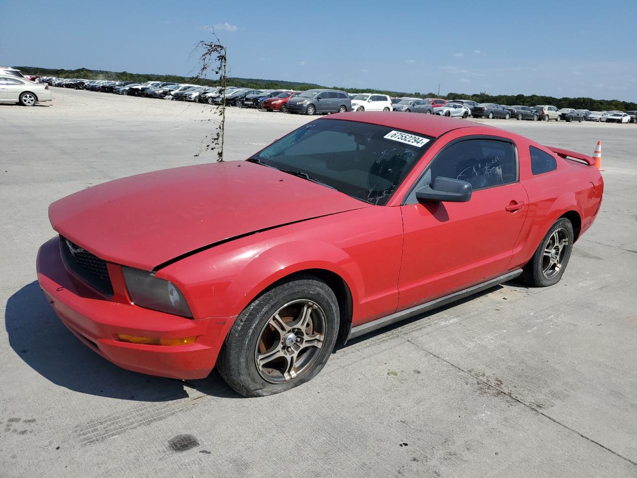 2006 Ford Mustang VIN: 1ZVFT80N165161364 Lot: 67552294