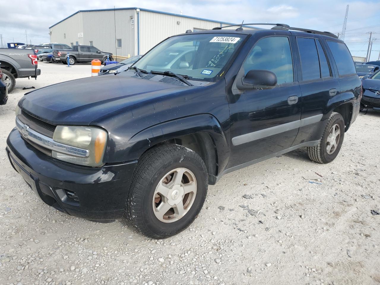 2005 Chevrolet Trailblazer Ls VIN: 1GNDS13S452374418 Lot: 71253824