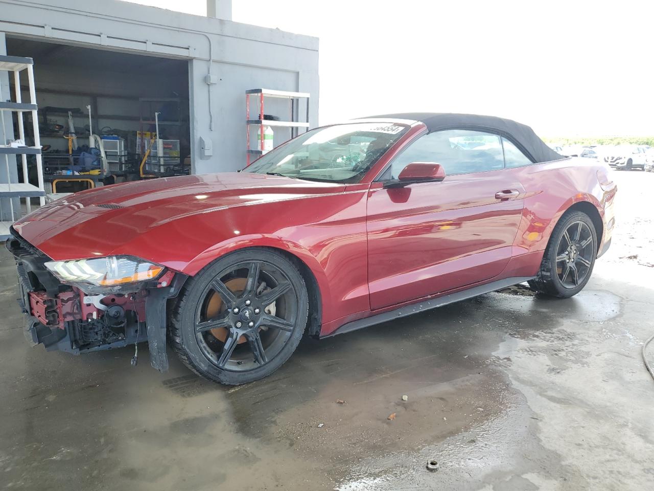 2019 Ford Mustang VIN: 1FATP8UH6K5116970 Lot: 69964554