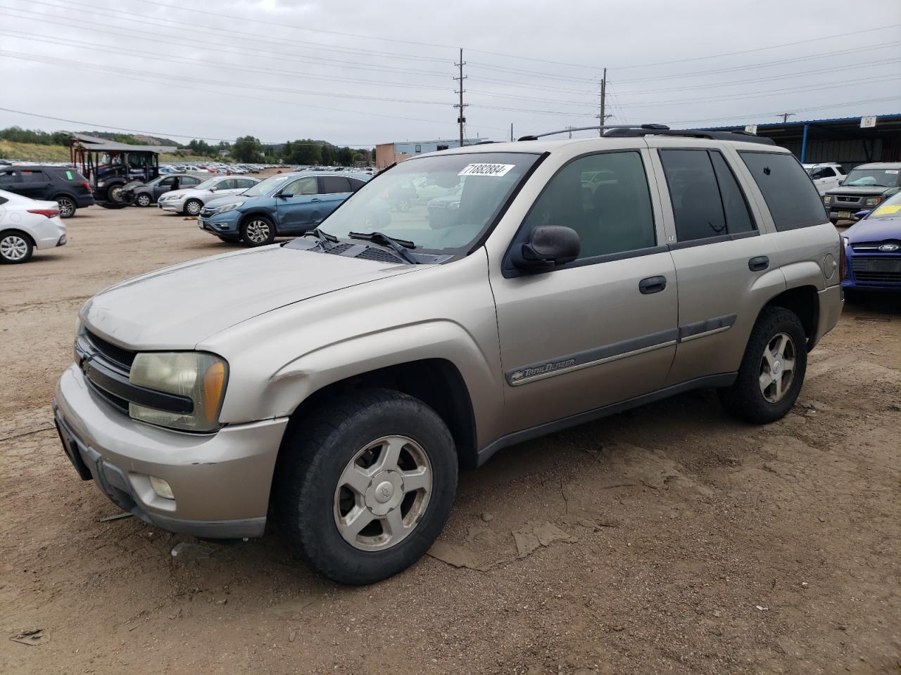 2002 Chevrolet Trailblazer VIN: 1GNDT13S022479417 Lot: 71882884