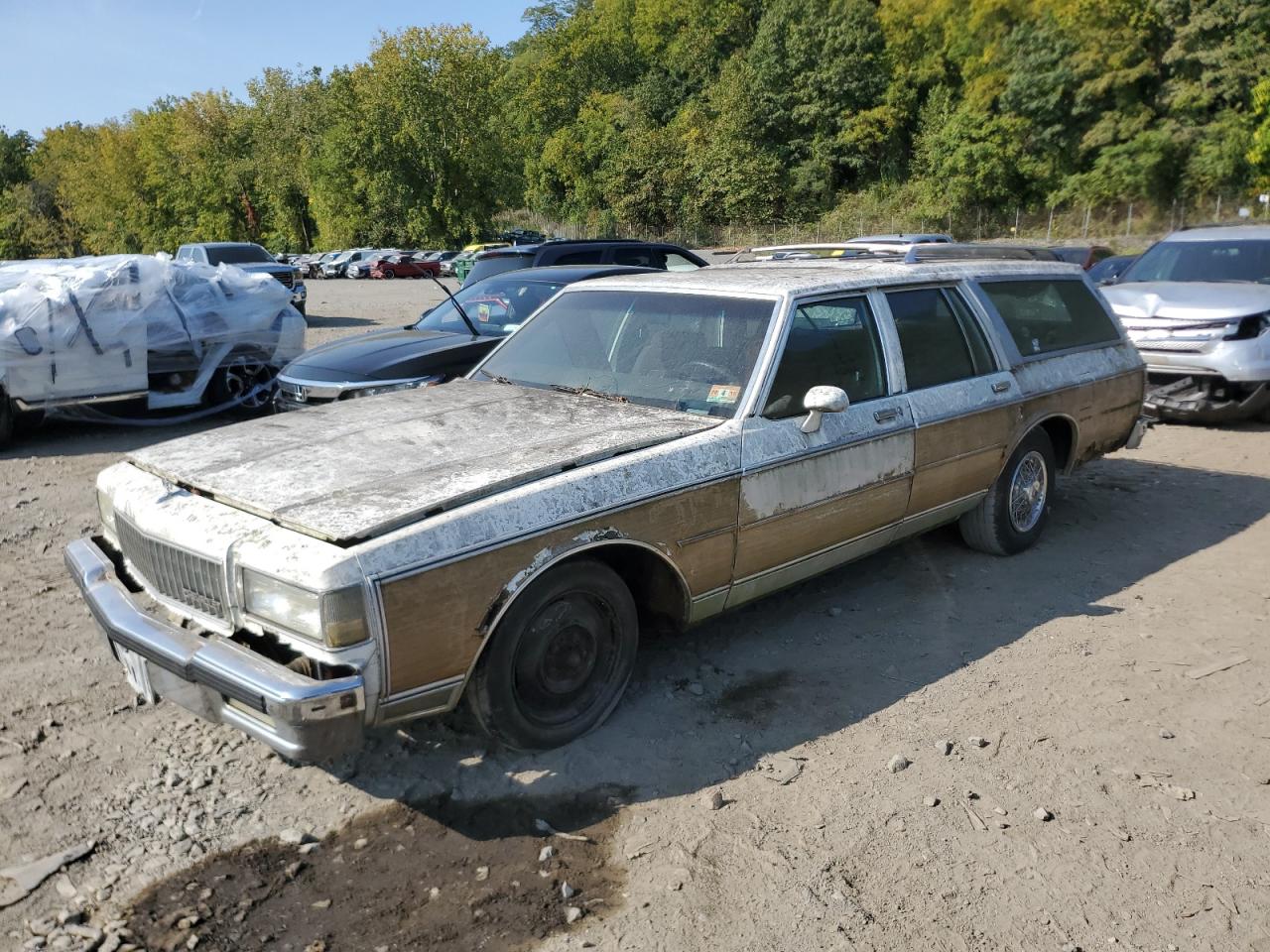 1989 Chevrolet Caprice Classic VIN: 1G1BN81Y8KA107963 Lot: 71134294