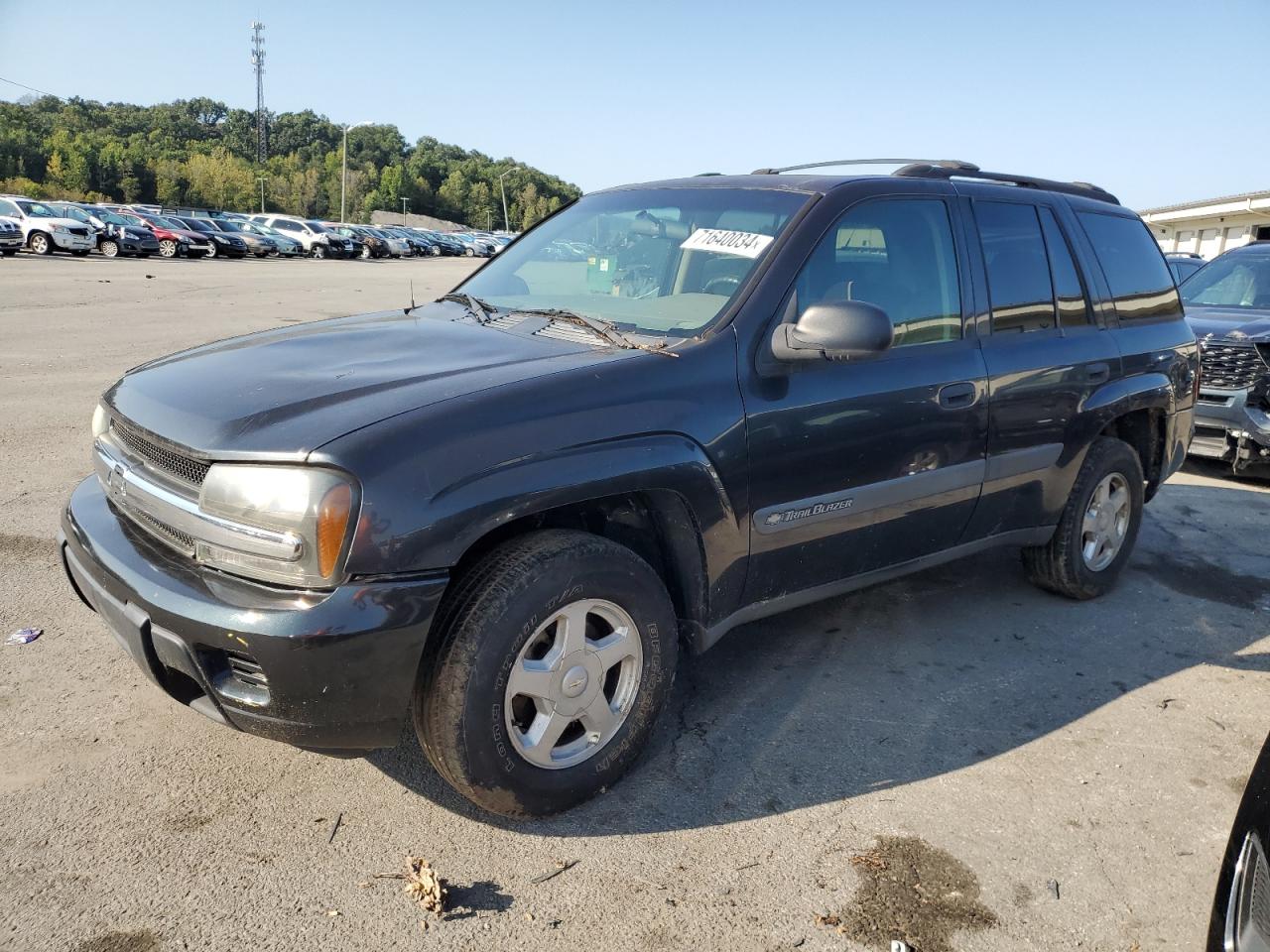 2003 Chevrolet Trailblazer VIN: 1GNDS13S432307475 Lot: 71640034