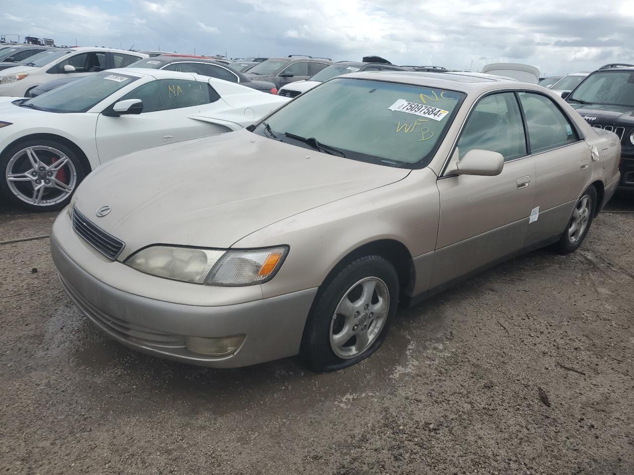 1998 Lexus Es 300 VIN: JT8BF28G2W5025058 Lot: 75097584