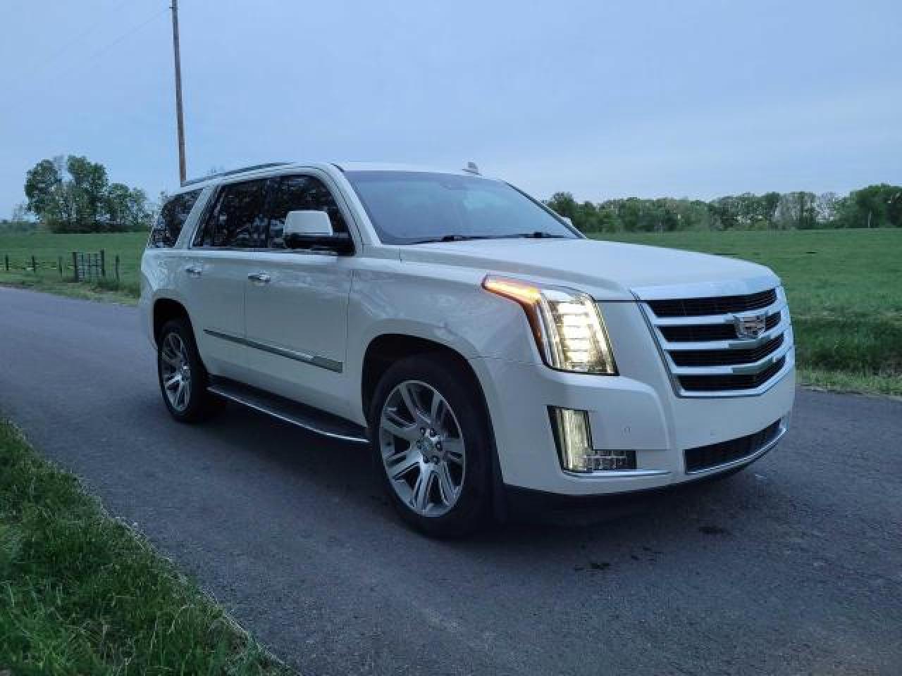 2015 Cadillac Escalade Luxury VIN: 1GYS4MKJ0FR536259 Lot: 77571564