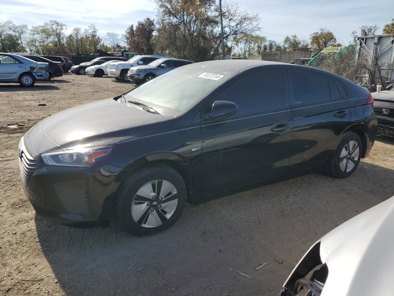 2019 Hyundai Ioniq Blue VIN: KMHC65LC3KU174067 Lot: 76537514