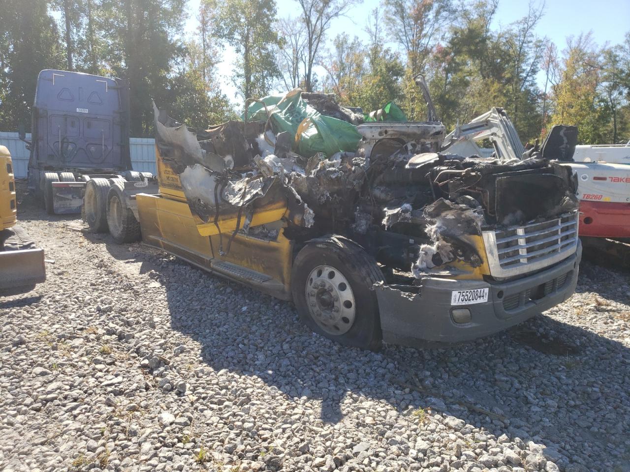 2015 Freightliner Cascadia 125 VIN: 3AKJGLD52FSGA8032 Lot: 75520844