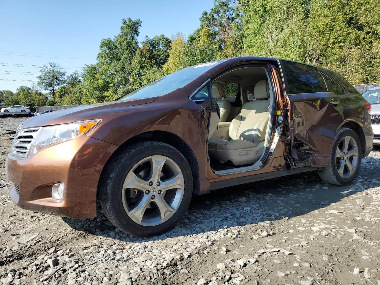 2010 Toyota Venza VIN: 4T3ZK3BB3AU033024 Lot: 74697564