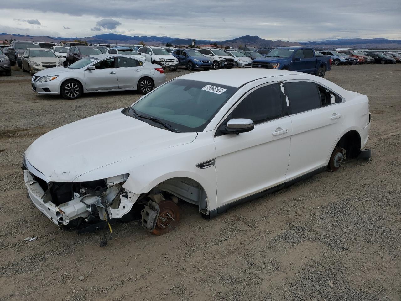 2010 Ford Taurus Limited VIN: 1FAHP2FW2AG133881 Lot: 76396564