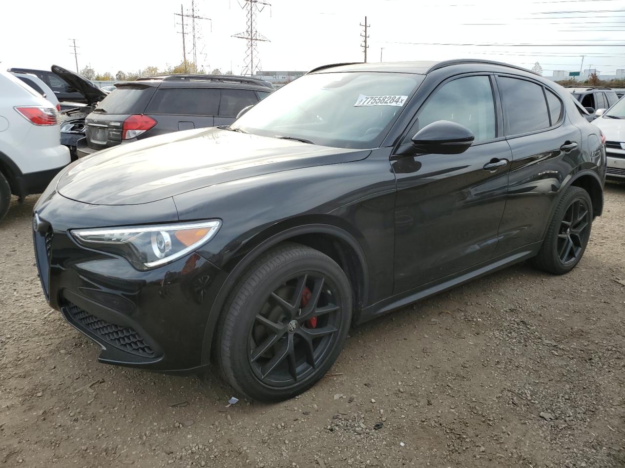 2020 Alfa Romeo Stelvio VIN: ZASPAKAN9L7C91747 Lot: 77558284