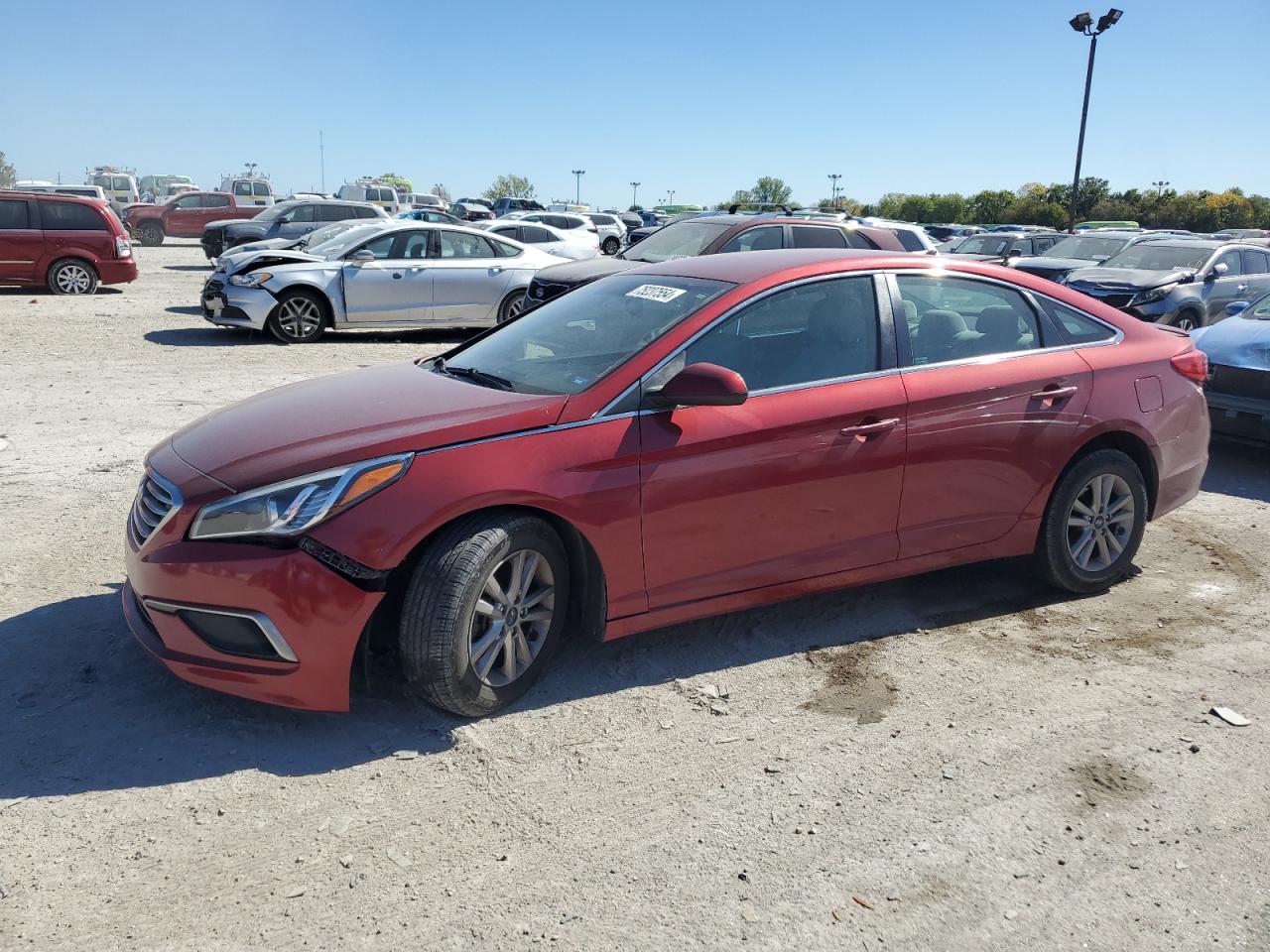 2016 Hyundai Sonata Se VIN: 5NPE24AF9GH366319 Lot: 75237554