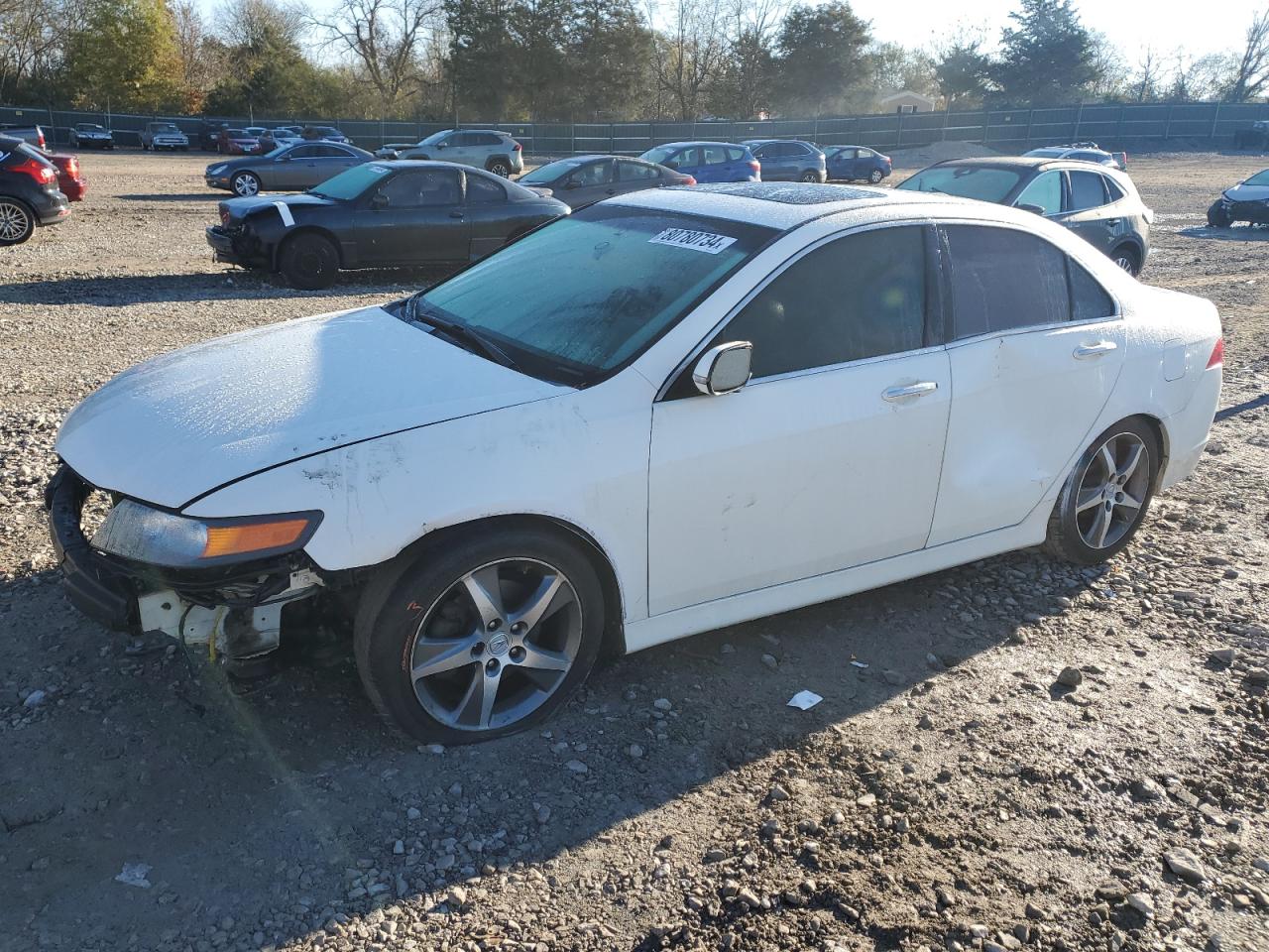 2007 Acura Tsx VIN: JH4CL96847C015386 Lot: 80780734