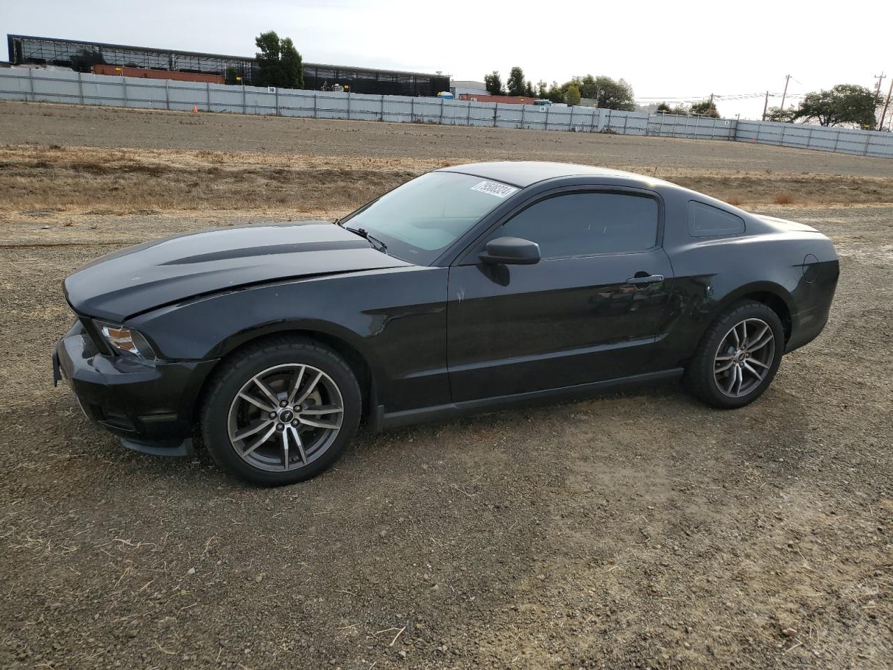 2010 Ford Mustang VIN: 1ZVBP8AN3A5181335 Lot: 79508324