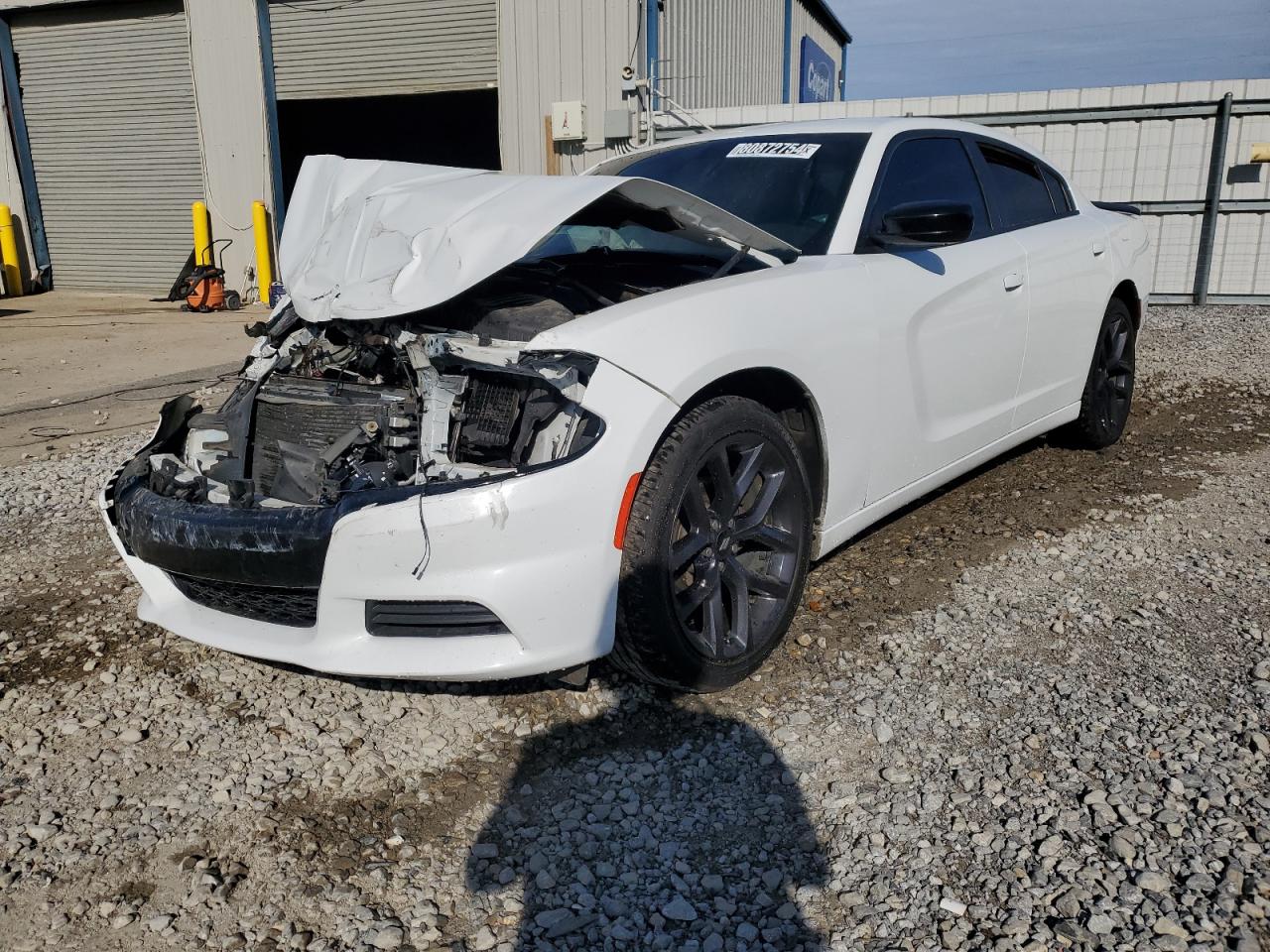 2019 Dodge Charger Sxt VIN: 2C3CDXBG8KH692998 Lot: 80872754