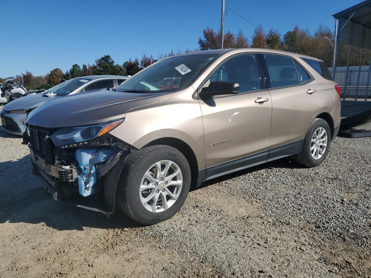 2019 Chevrolet Equinox Ls VIN: 2GNAXHEV1K6224768 Lot: 81948354