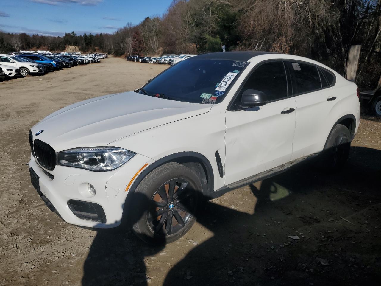 2017 BMW X6 xDrive35I VIN: 5UXKU2C31H0X47437 Lot: 80047644