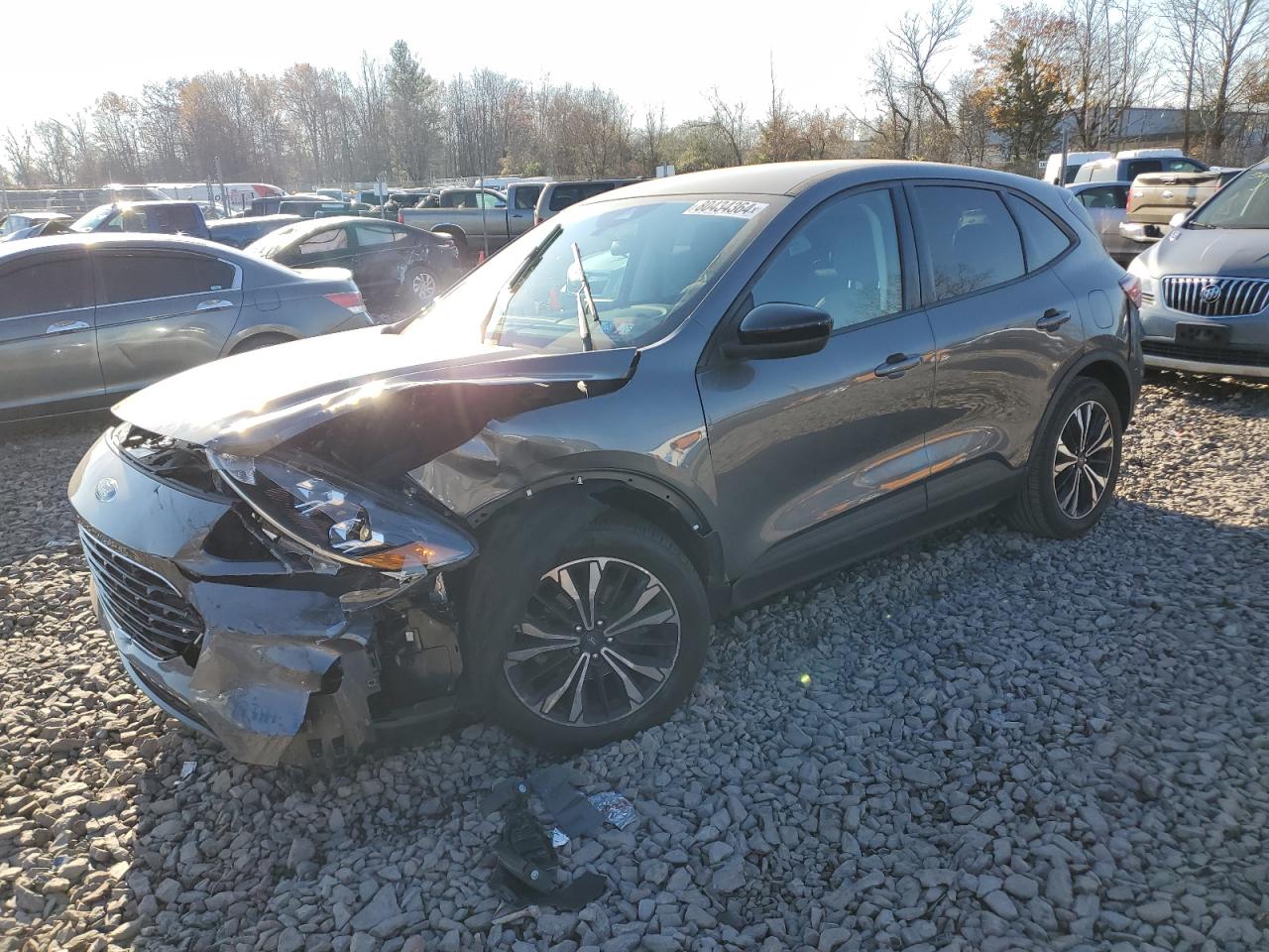 2021 Ford Escape Se VIN: 1FMCU0G64MUA25571 Lot: 80434364