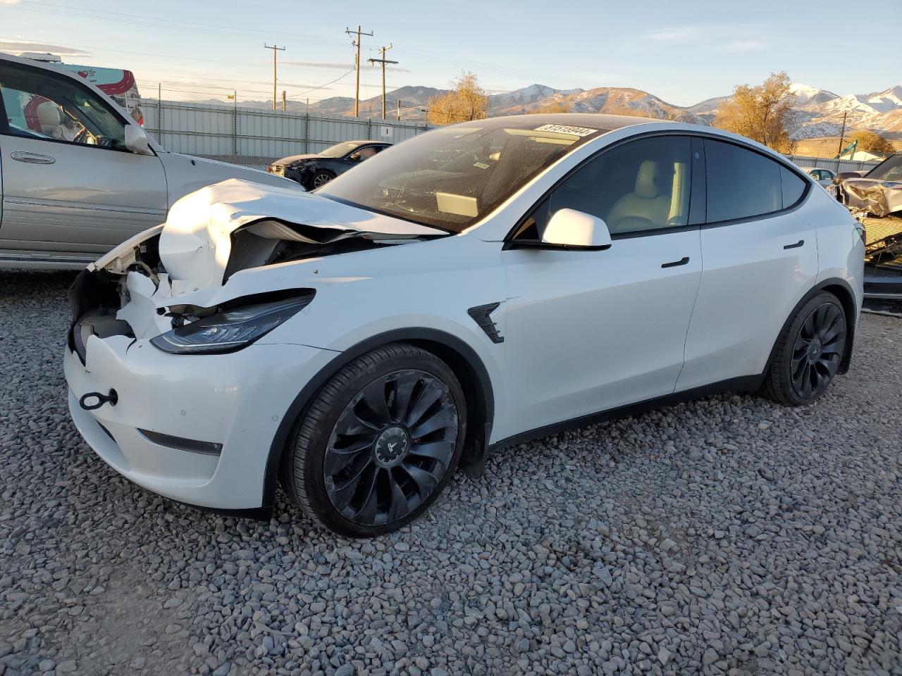 2021 Tesla Model Y VIN: 5YJYGDEF6MF091852 Lot: 81515944