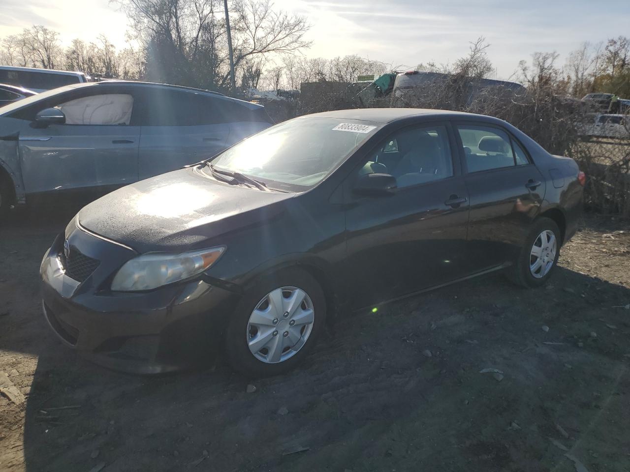 2010 Toyota Corolla Base VIN: 1NXBU4EE6AZ342101 Lot: 80833904