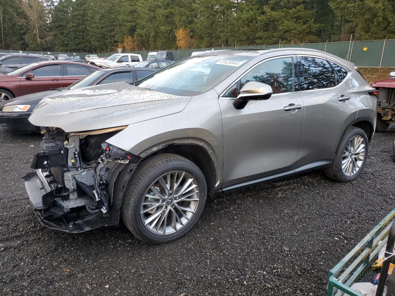 2024 Lexus Nx 350H Base VIN: 2T2HKCEZ1RC025204 Lot: 81629844