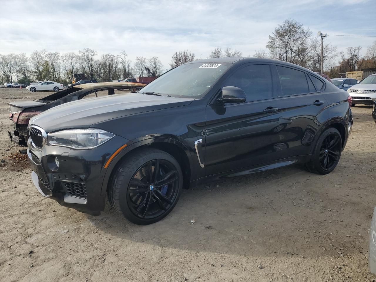 2018 BMW X6 M VIN: 5YMKW8C56J0U72581 Lot: 81026824