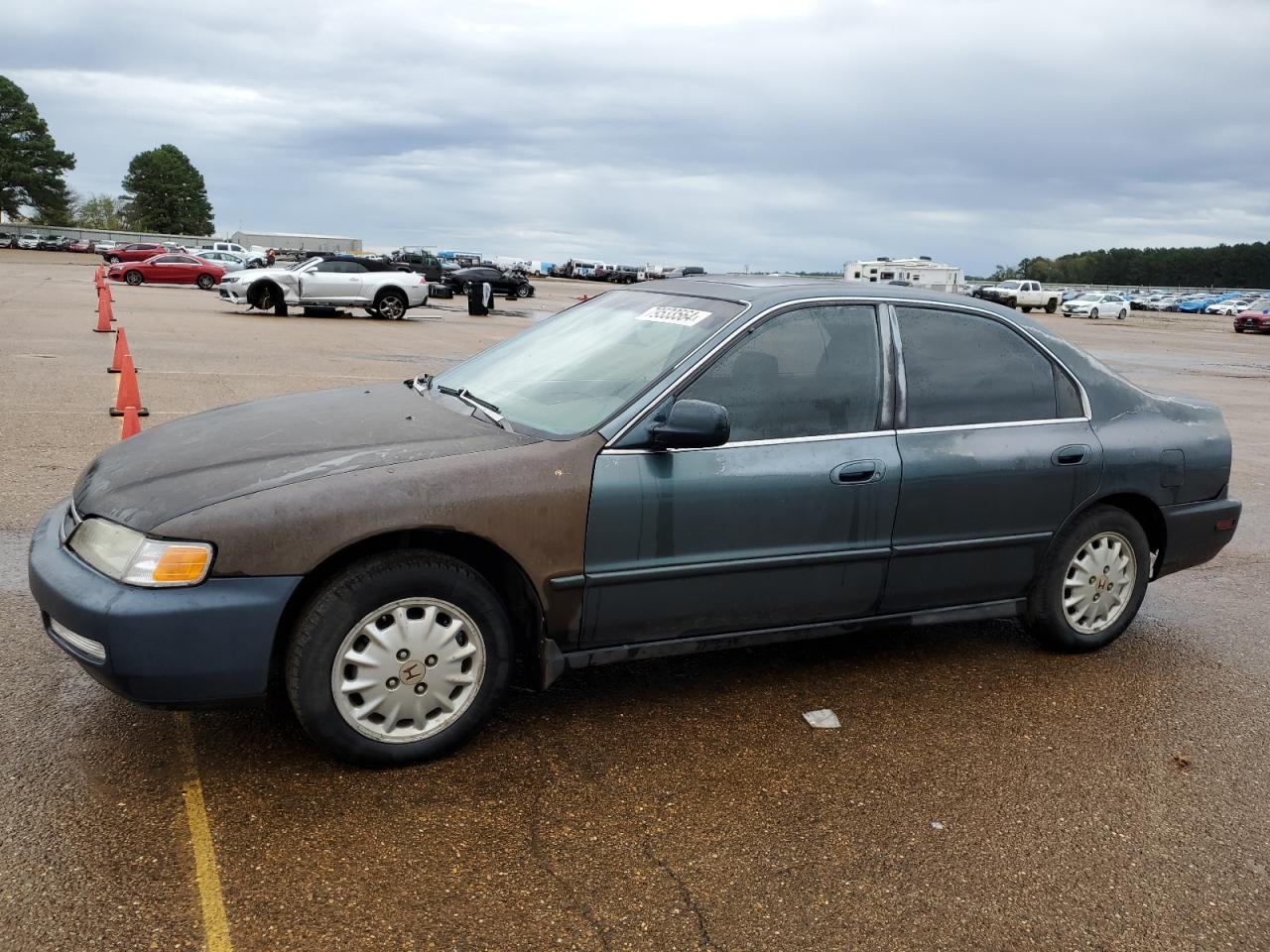 1996 Honda Accord Ex VIN: 1HGCD5651TA188013 Lot: 79533564