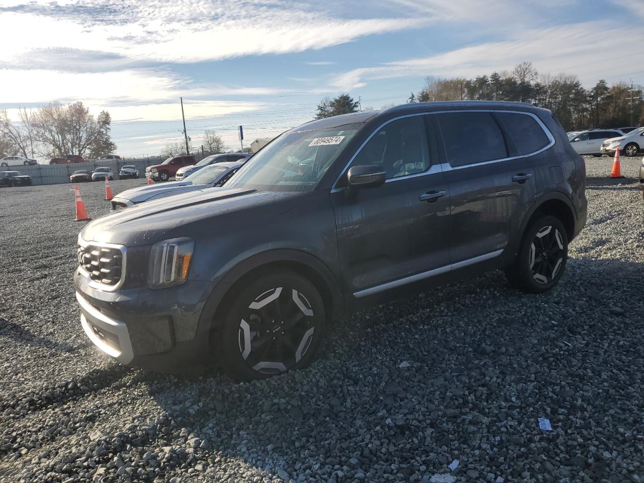 2023 Kia Telluride S VIN: 5XYP6DGCXPG366573 Lot: 80949574