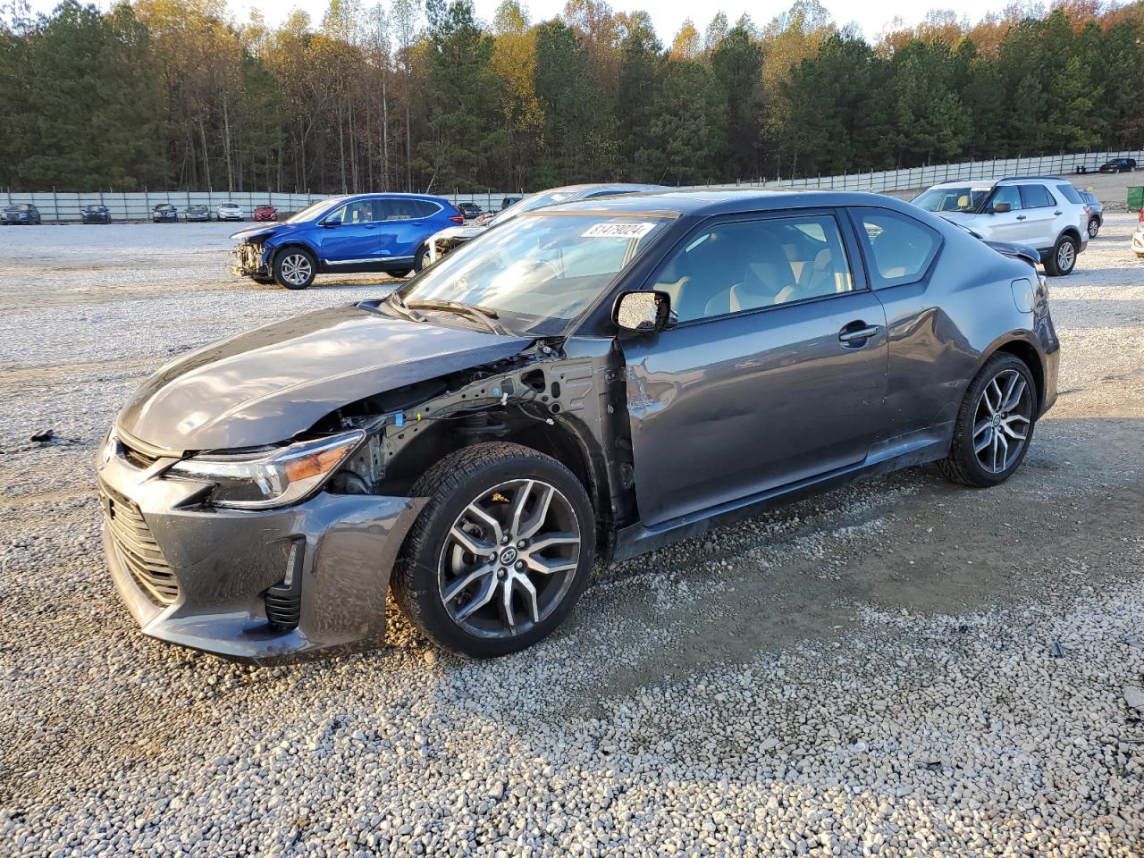 2016 Toyota Scion Tc VIN: JTKJF5C72GJ017890 Lot: 81479024