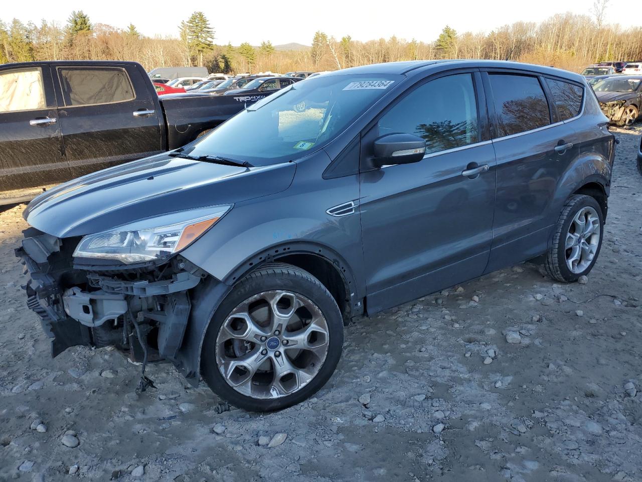 2013 Ford Escape Titanium VIN: 1FMCU9J94DUD46744 Lot: 79284364