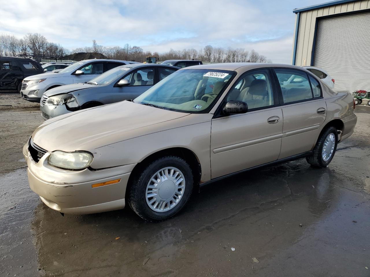 2001 Chevrolet Malibu VIN: 1G1ND52J216128020 Lot: 79625224