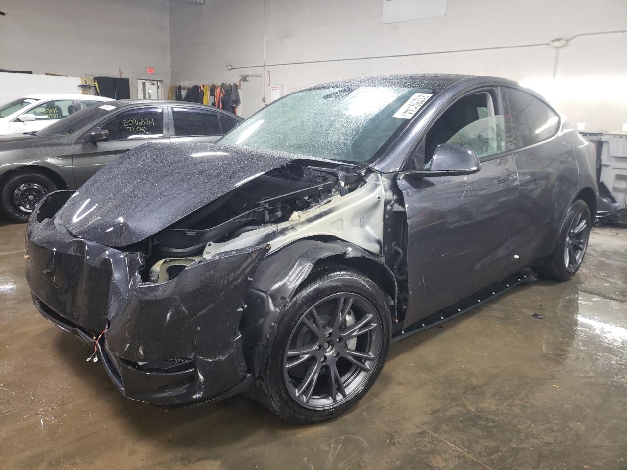 2024 Tesla Model Y VIN: 7SAYGDEE8RF197074 Lot: 81289144