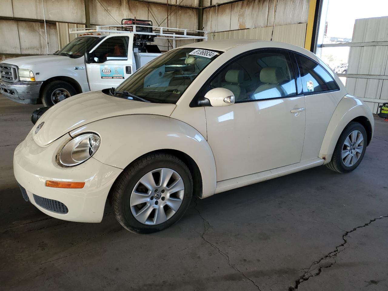 2008 Volkswagen New Beetle S VIN: 3VWPG31C18M524557 Lot: 81368834