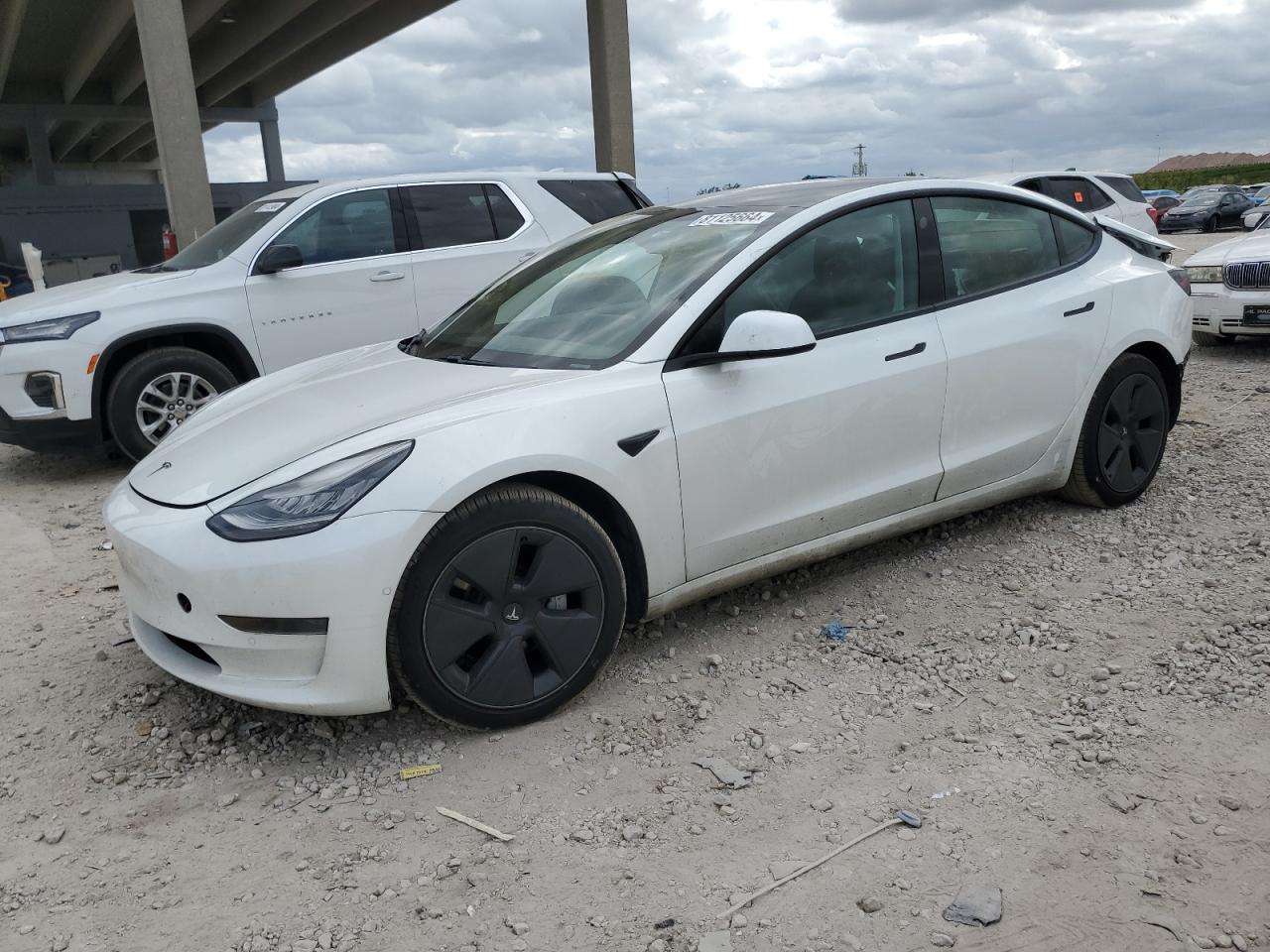 2021 Tesla Model 3 VIN: 5YJ3E1EA7MF850608 Lot: 81125664