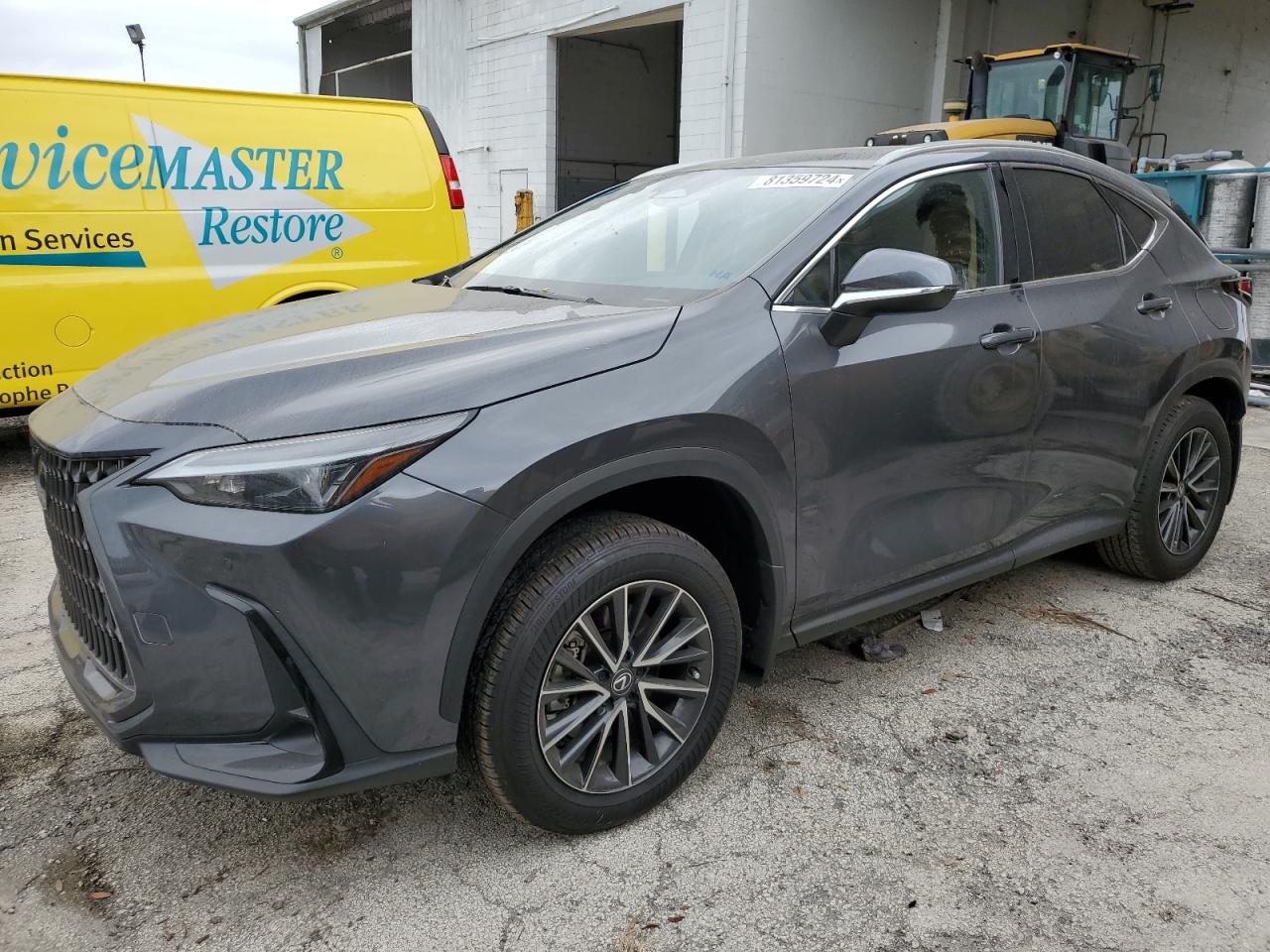 2024 Lexus Nx 250 Premium VIN: 2T2GDCAZ4RC009980 Lot: 81359724