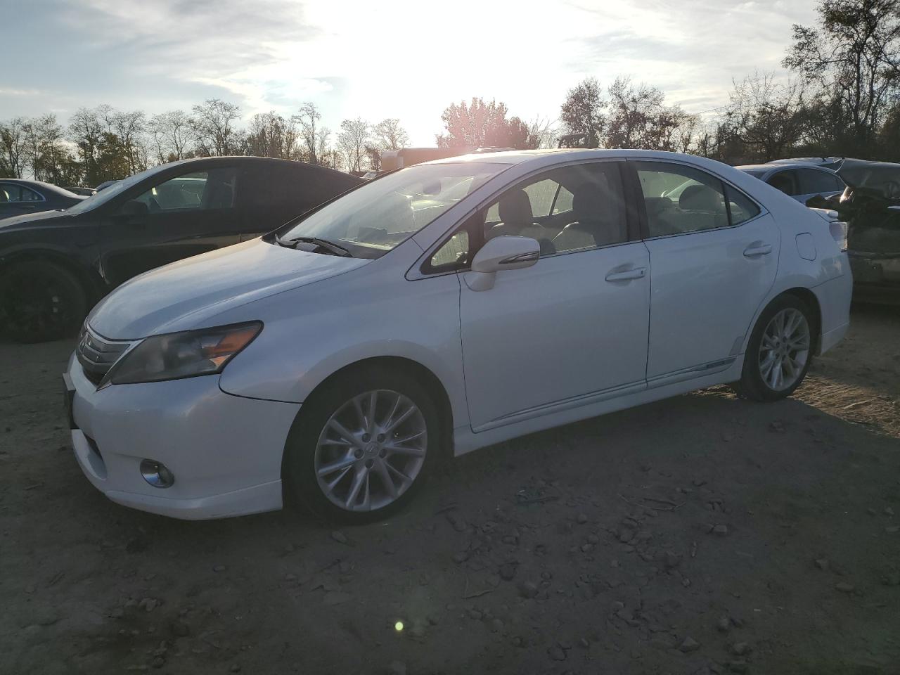 2010 Lexus Hs 250H VIN: JTHBB1BA7A2031894 Lot: 78853114