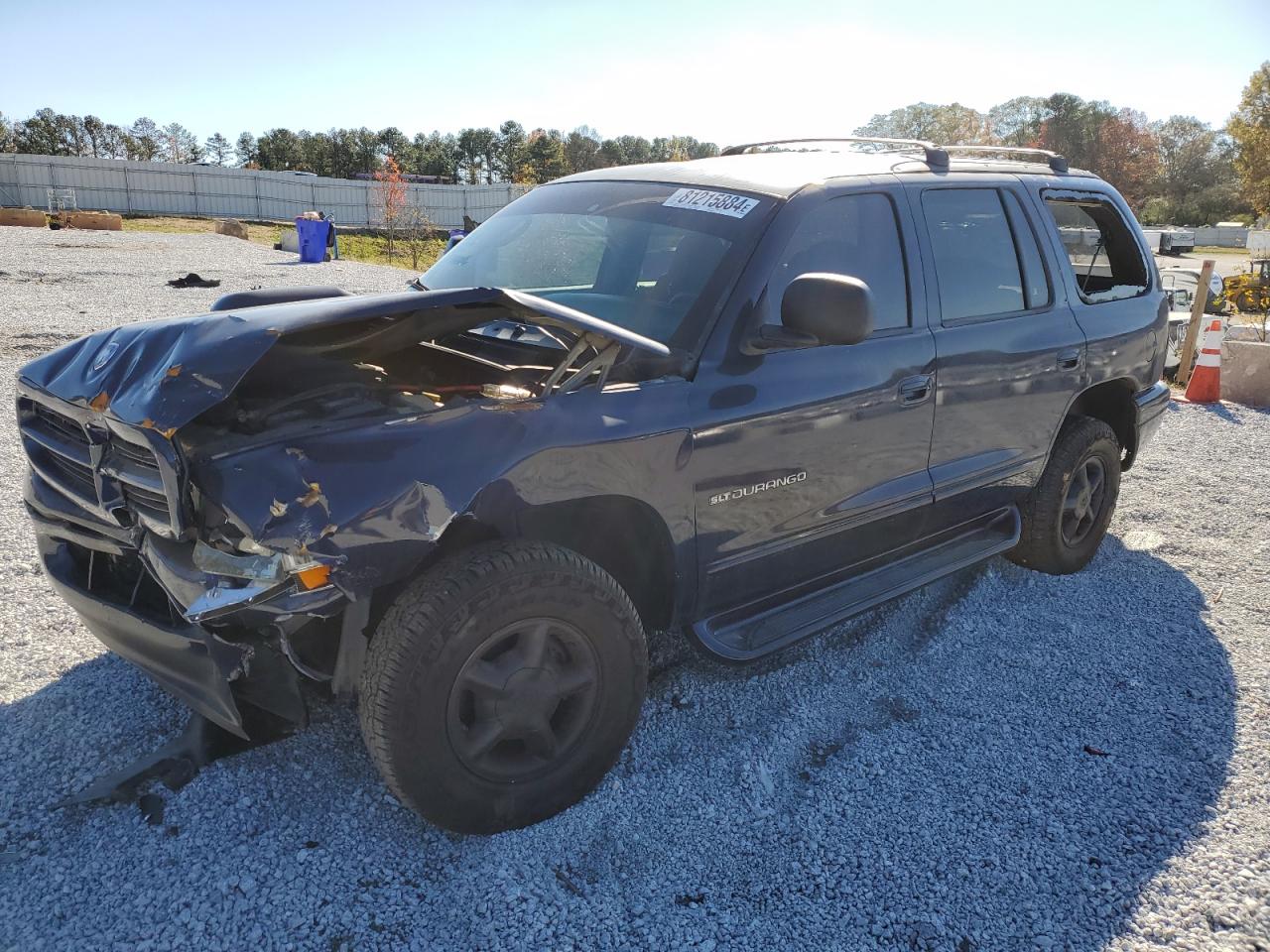 2000 Dodge Durango VIN: 1B4HS28N0YF307828 Lot: 81215884