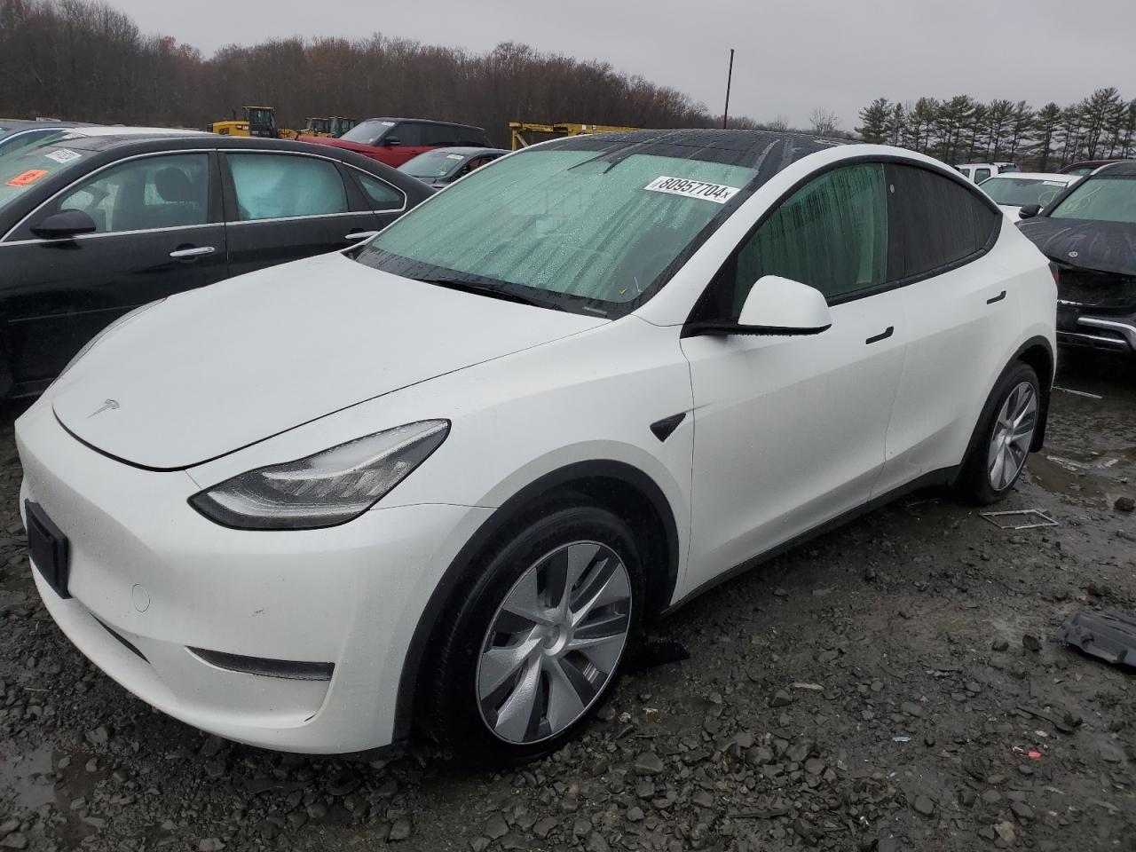 2023 Tesla Model Y VIN: 7SAYGDEEXPA077478 Lot: 80957704