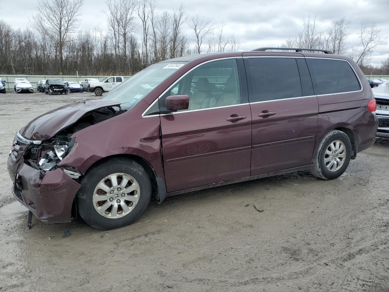 2008 Honda Odyssey Exl VIN: 5FNRL38618B402146 Lot: 84647044