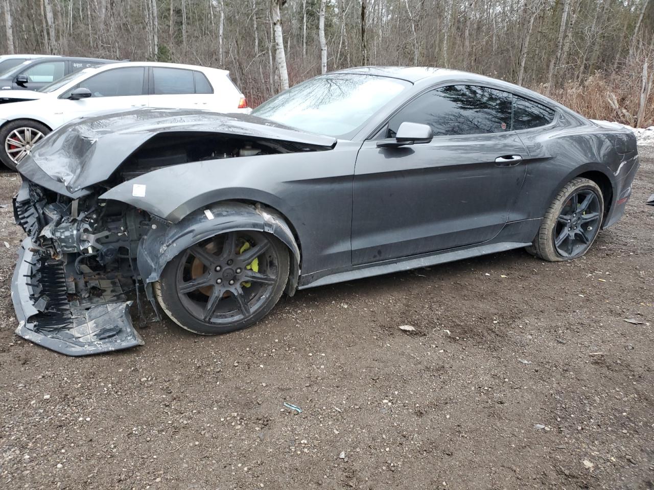 2019 Ford Mustang VIN: 1FA6P8TH6K5102811 Lot: 83102124