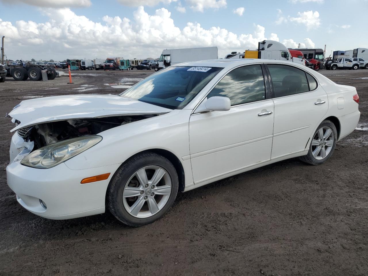 2006 Lexus Es 330 VIN: JTHBA30G365175728 Lot: 85146414