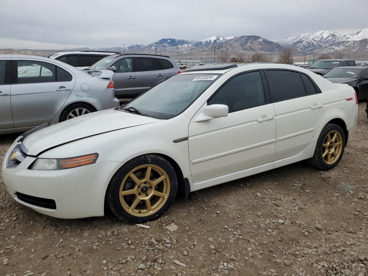 2005 Acura Tl VIN: 19UUA66265A081342 Lot: 86450694