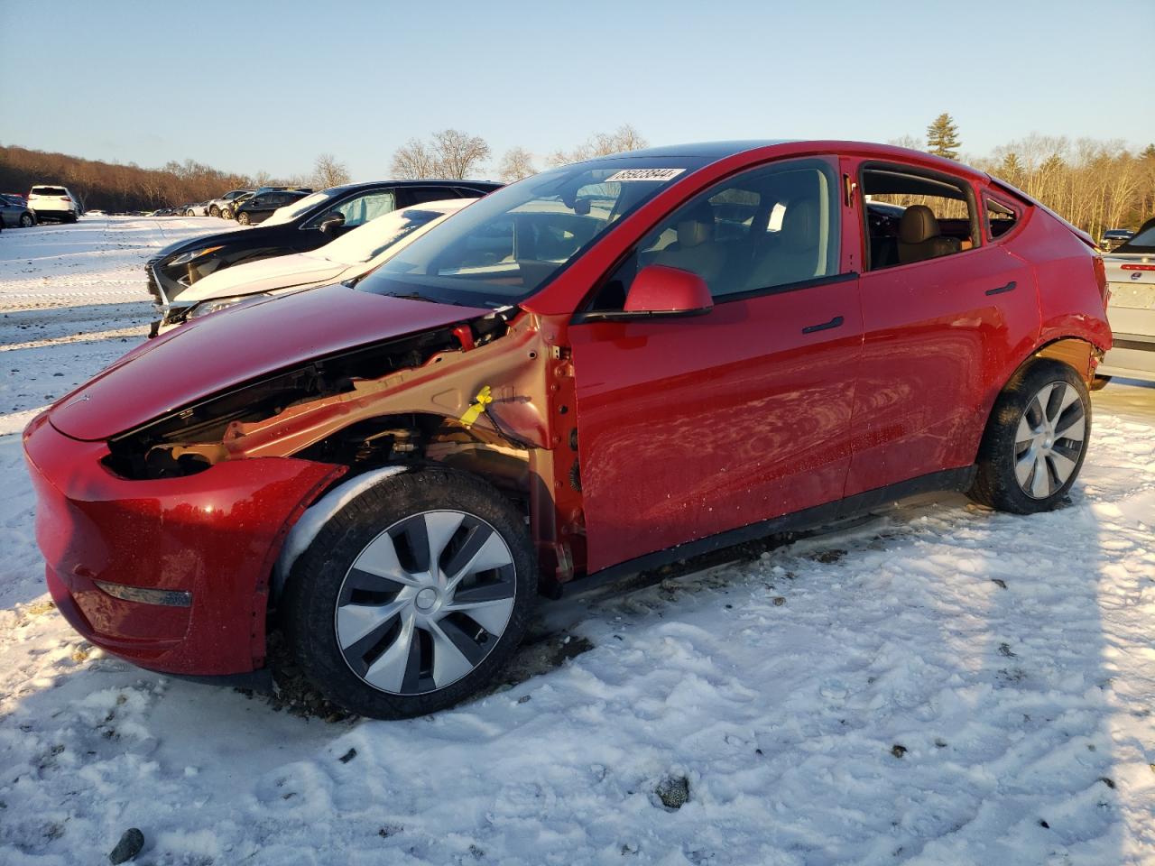 2023 Tesla Model Y VIN: 7SAYGDEE3PA210338 Lot: 85923844