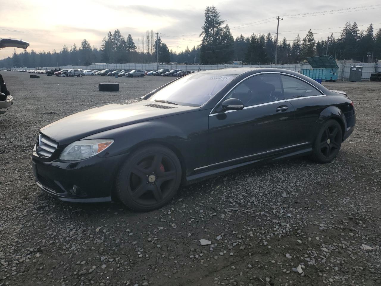 2007 Mercedes-Benz Cl 550 VIN: WDDEJ71X97A002685 Lot: 83600894