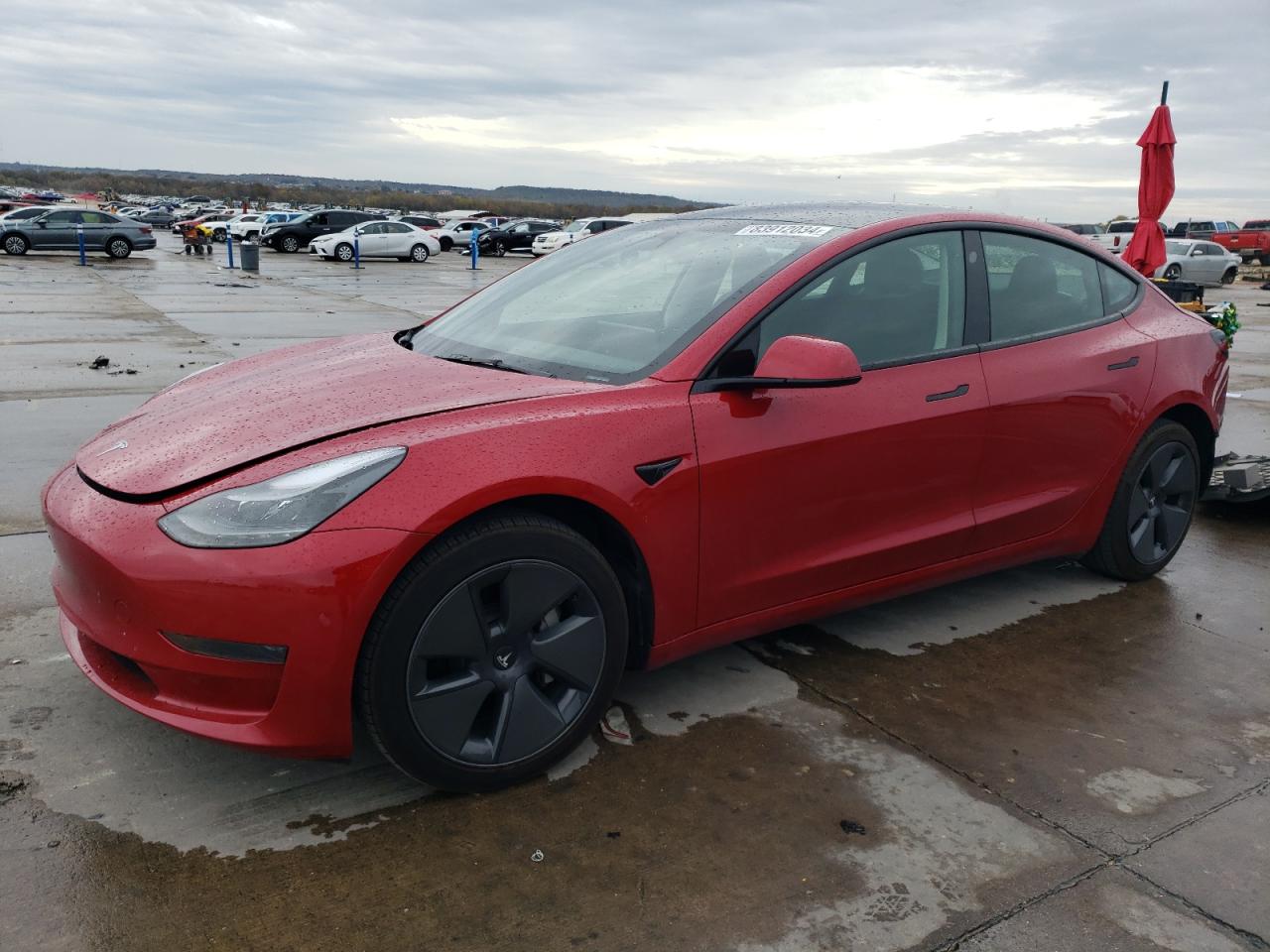 2023 Tesla Model 3 VIN: 5YJ3E1EA9PF570855 Lot: 83912034