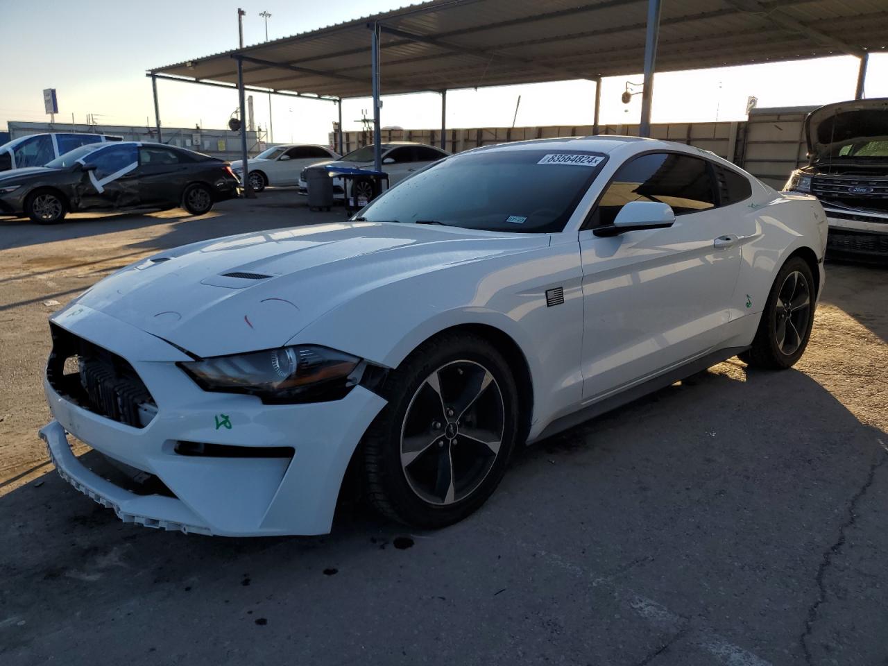 2019 Ford Mustang VIN: 1FA6P8TH0K5196300 Lot: 83564824