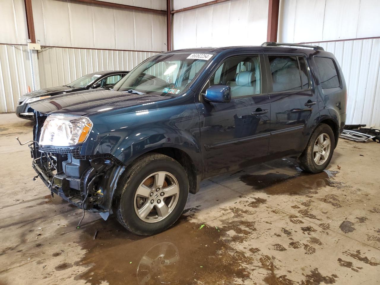 2009 Honda Pilot Exl VIN: 5FNYF48569B031034 Lot: 86062254