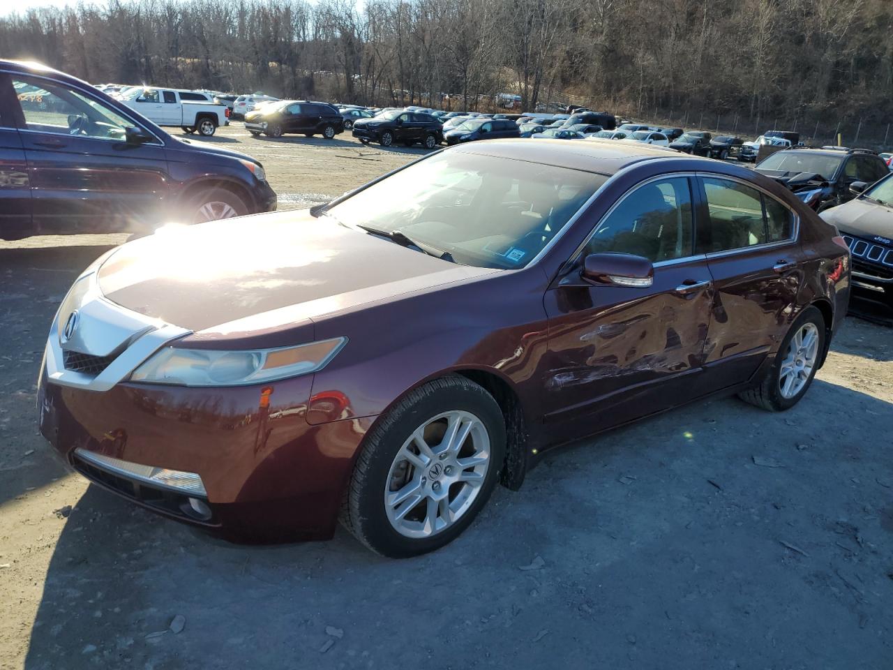 2009 Acura Tl VIN: 19UUA86569A013764 Lot: 85066534